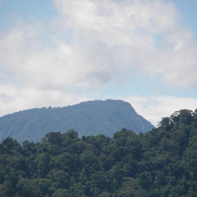 Cb Bkds 2 Betung Kerihun View 1