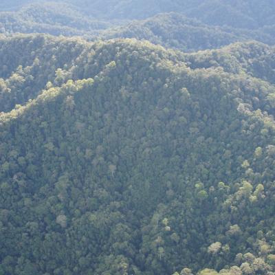 Cb Bkds 3 Betung Kerihun View 8