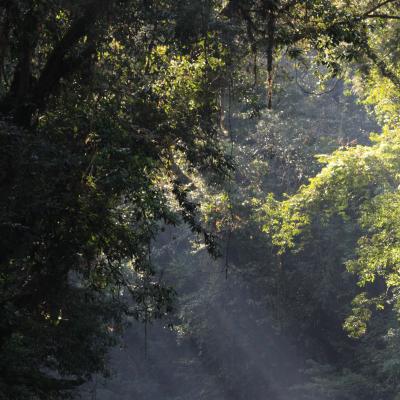 Cb Bkds 8 Core Area River8 Sibau