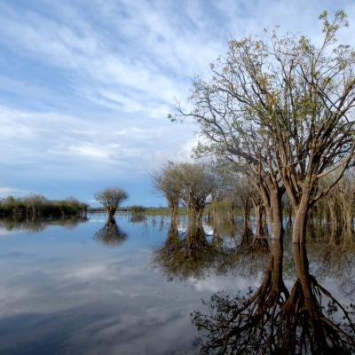 13. CAGAR BIOSFER BETUNG KERIHUN DANAU SENTARUM-KAPUAS HULU