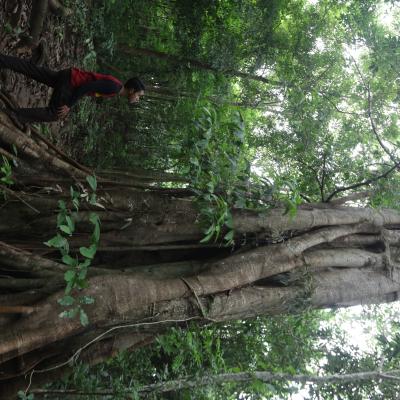 Photo 14. Tn Babul Taufiq Ismail Pohon Yang Megah