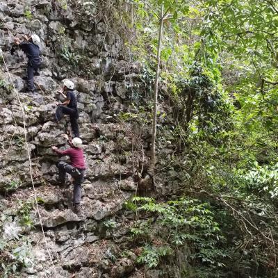 Survei Kehati Di Bellae