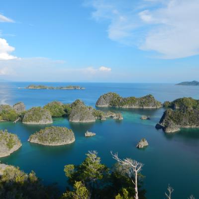 21. CAGAR BIOSFER RAJA AMPAT