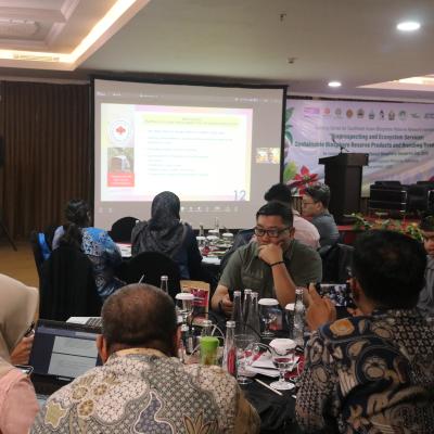 Participant Offline 3